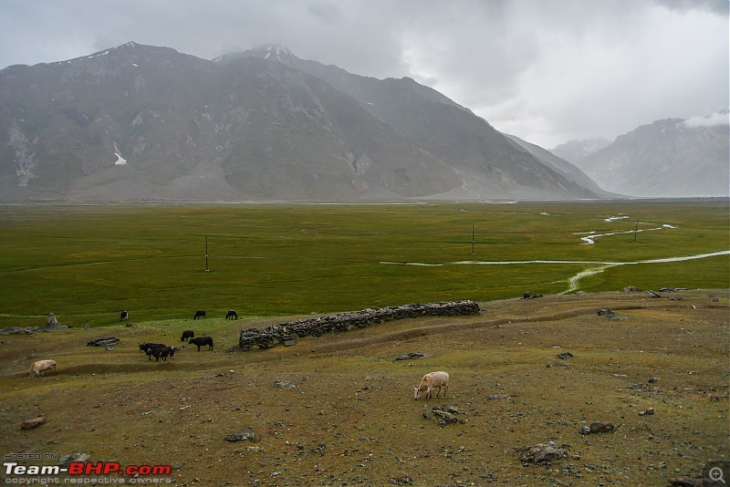 Overlanding in Ladakh: Exploring the less explored routes in a Toyota Fortuner-aaa_5931.jpg