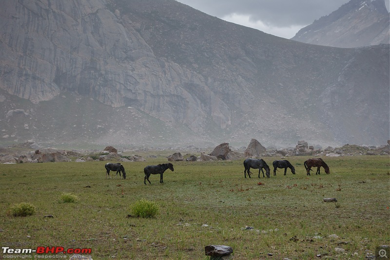 Overlanding in Ladakh: Exploring the less explored routes in a Toyota Fortuner-dsc00279.jpg