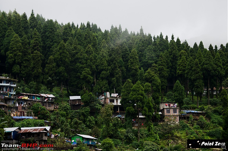 Monsoon drive to the art gallery of nature - Rishop, Loleygaon & Tinchuley-tkd_0558.jpg