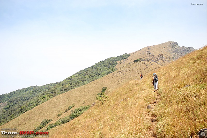 Trek to Kumara Parvatha, Karnataka-img_7785.jpg