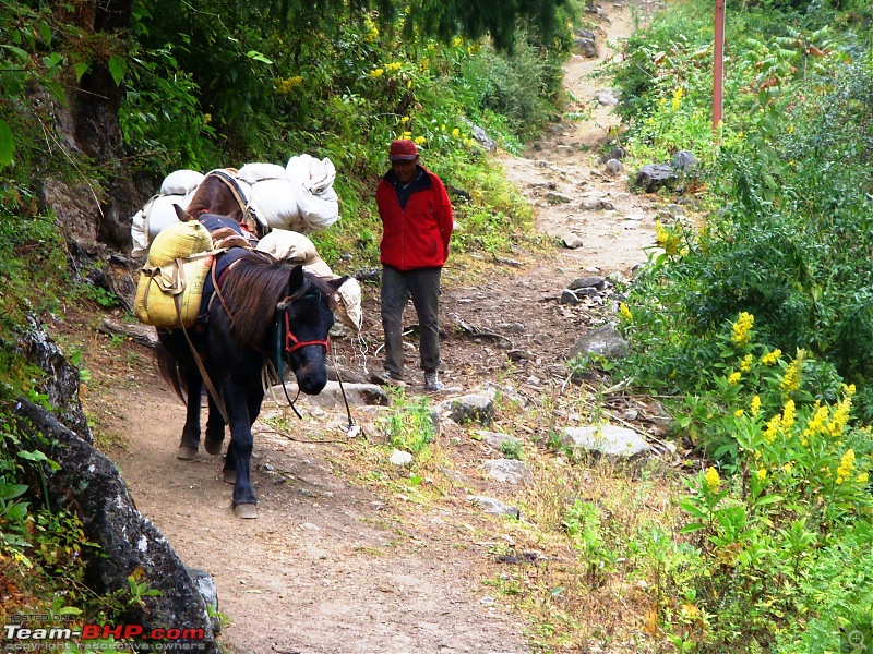 Offroad Trip to Manang (Nepal) in a Ford Endeavour - The journey of a lifetime-dsc09676.jpg