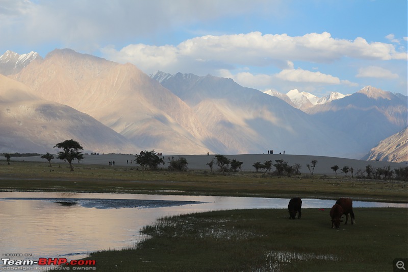 Why we ride...No definite answers! Himalayan, Standard 500 & Duke 390 ride to Ladakh-img_3114.jpg