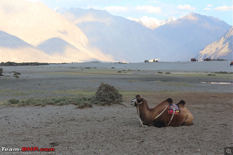 Why we ride...No definite answers! Himalayan, Standard 500 & Duke 390 ride to Ladakh-img_3119.jpg
