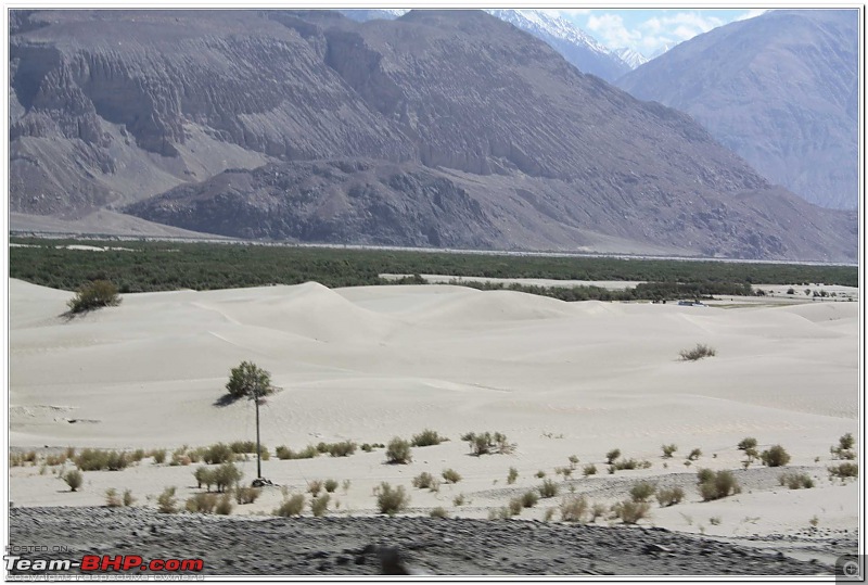 Bangalore to Leh in two Gypsy's- covered 8000 KM in 18 days-t8.jpg