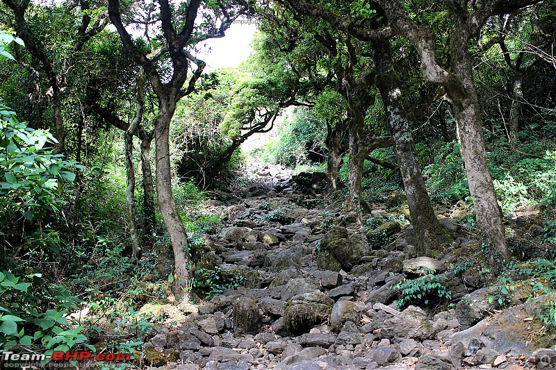 Trek to Kumara Parvatha, Karnataka-img_7888.jpg