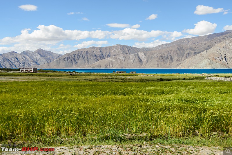 Overlanding in Ladakh: Exploring the less explored routes in a Toyota Fortuner-aaa_6078.jpg