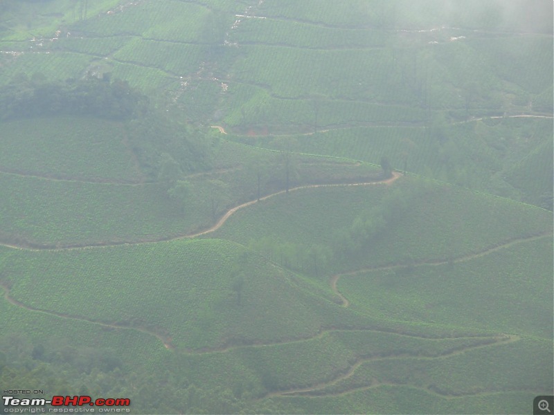 Civved : Kodaikanal, Munnar-valley10.jpg