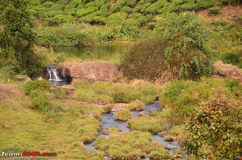 Road trip : Athirappilly & Valparai-dsc_0643.jpg