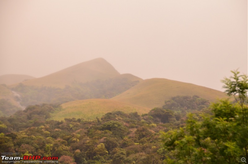 Road trip : Athirappilly & Valparai-dsc_0662.jpg