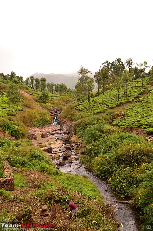 Road trip : Athirappilly & Valparai-05_dsc_0674.jpg