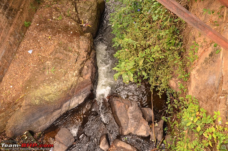 Road trip : Athirappilly & Valparai-09_dsc_0683.jpg