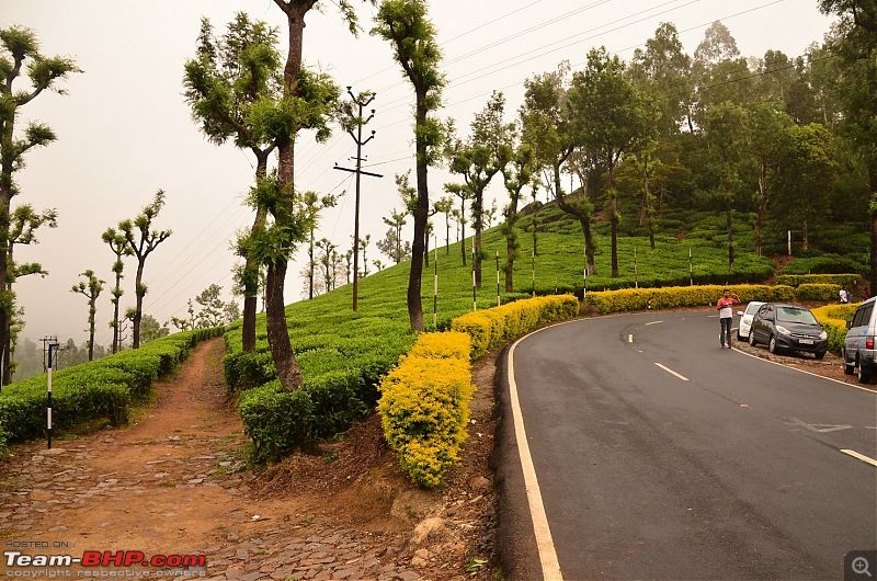 Road trip : Athirappilly & Valparai-06_dsc_0726.jpg