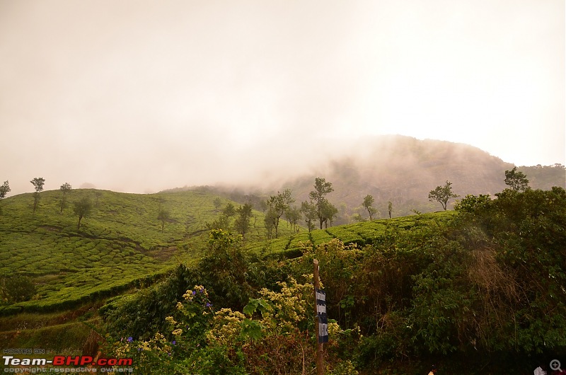 Road trip : Athirappilly & Valparai-03_dsc_0699.jpg