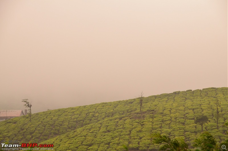 Road trip : Athirappilly & Valparai-05_dsc_0702.jpg