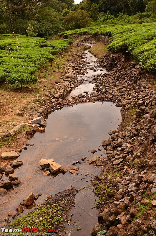 Road trip : Athirappilly & Valparai-06_dsc_0692.jpg