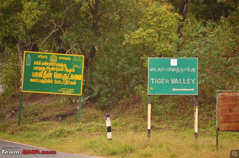 Road trip : Athirappilly & Valparai-15_dsc_0777.jpg
