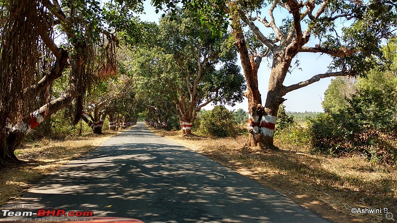 Red Dwarf Diaries - Chasing the Hoysala Architecture-t4.jpg