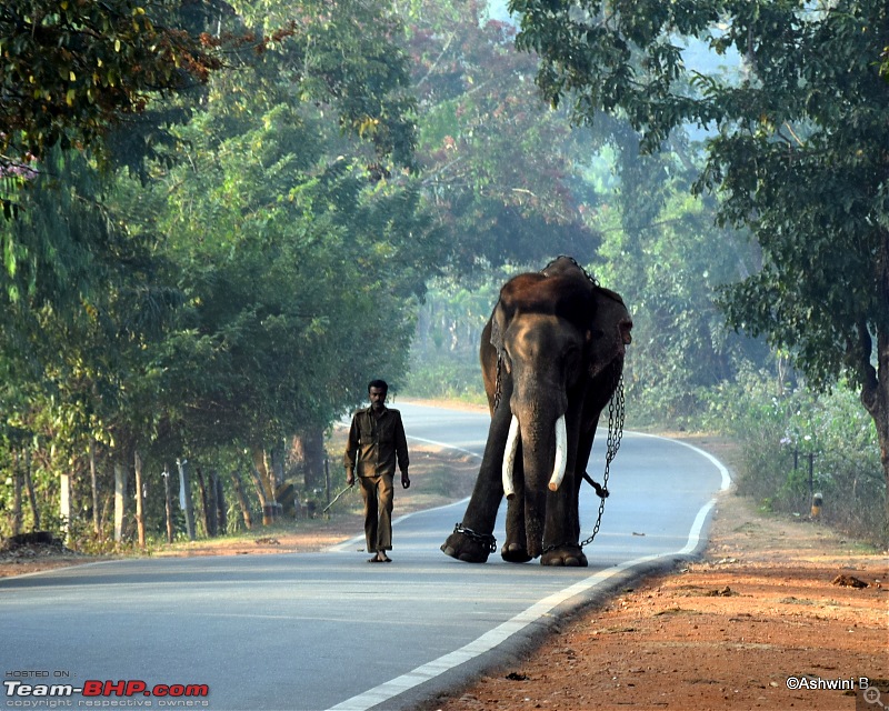 Red Dwarf Diaries - Chasing the Hoysala Architecture-e1.jpg