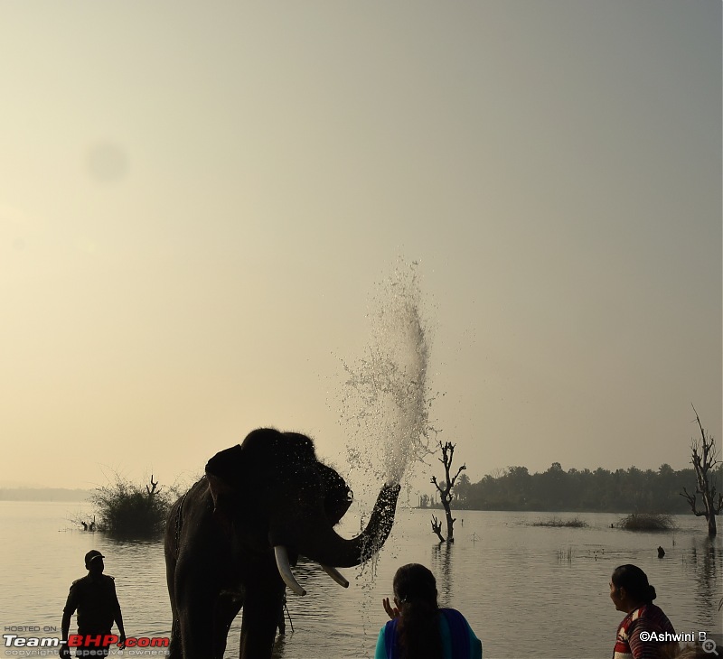 Red Dwarf Diaries - Chasing the Hoysala Architecture-e5.jpg