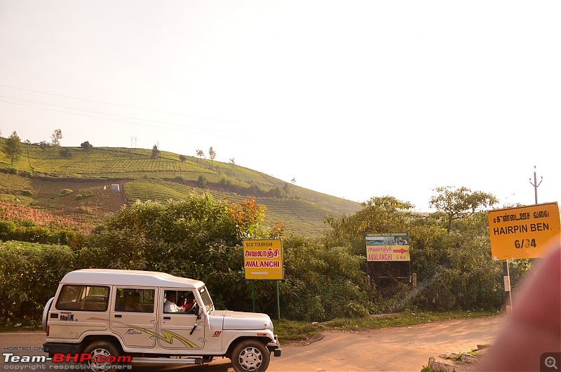 Coonoor tea, Avalanche lunch & Kotagiri snacks : Ride to Ooty-17_dsc_0680.jpg