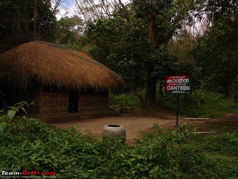 Another Unplanned Trip to Kuruva Falls (Wayanad)-wayanad-083.jpg