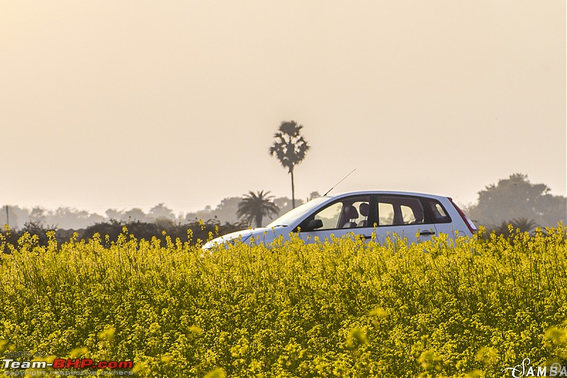 West Bengal - A treasure for tourists-img_2178.jpg