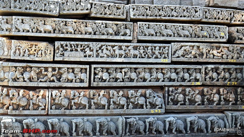 Red Dwarf Diaries - Chasing the Hoysala Architecture-b5.jpg