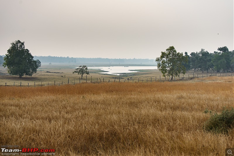 With Honda: 4 National Parks in Madhya Pradesh...and Khajuraho-aaa_7140.jpg