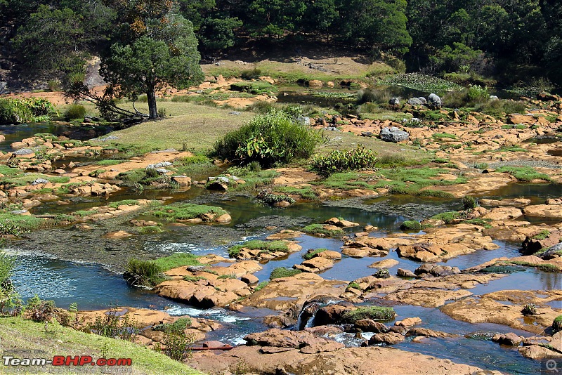 Bird watching in Nilgiris-beautiful-scenery-1.jpg