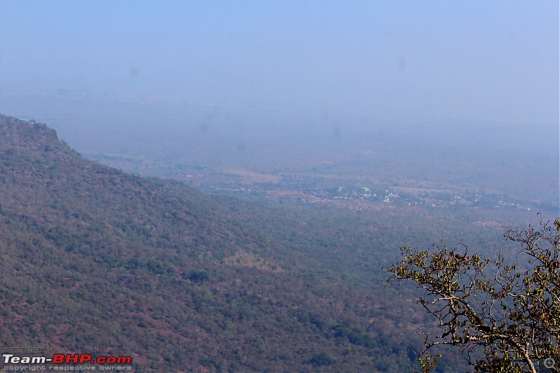 Bird watching in Nilgiris-view-valley.jpg