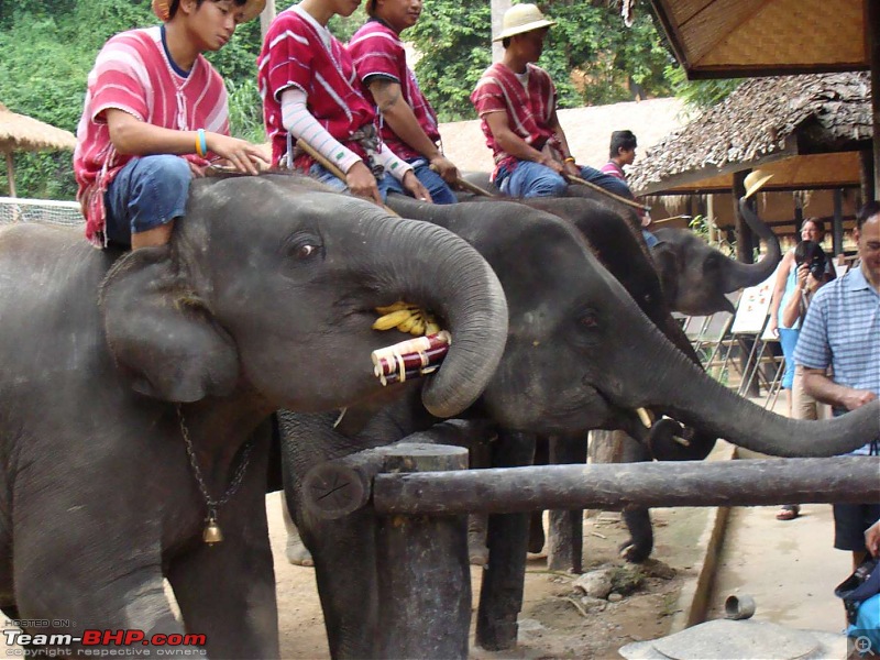 10 days across Thailand (2009) - and 8 more days (2011)-maesa-56.jpg