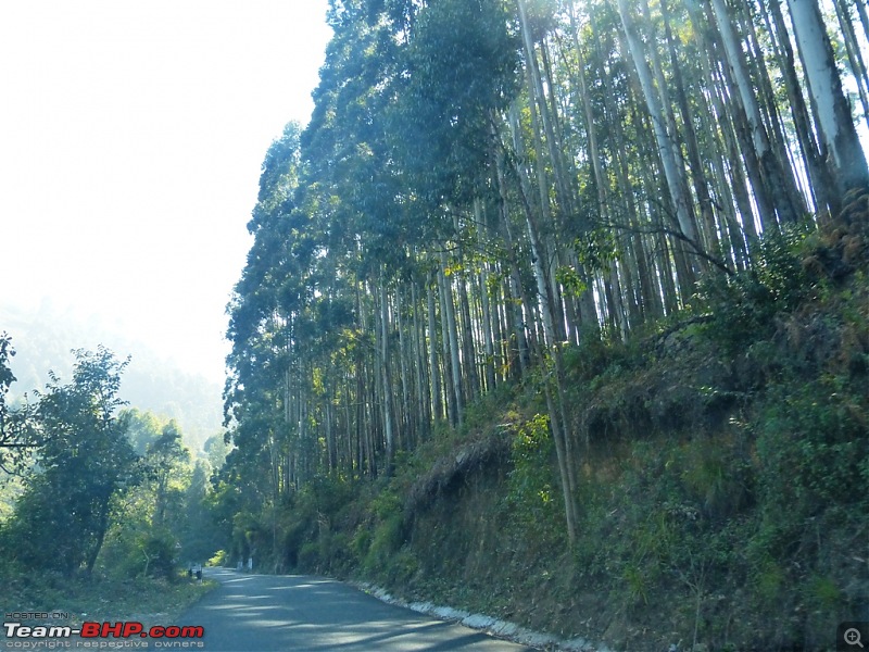 Pun-toured: The beautiful Western Ghats revisited-p1060223.jpg