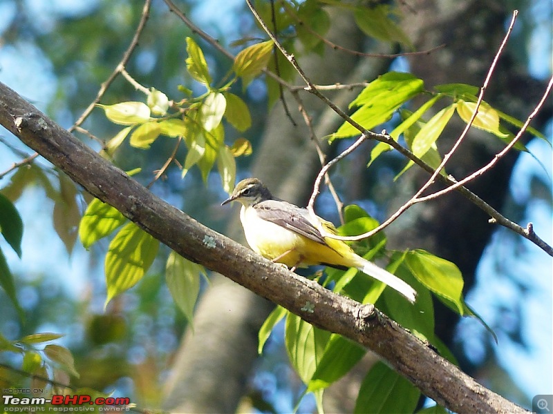 Pun-toured: The beautiful Western Ghats revisited-p1060403.jpg