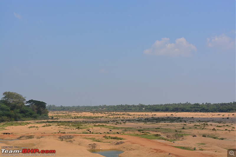 Chasing the Chola Architecture...-dsc_0446jpg.jpg