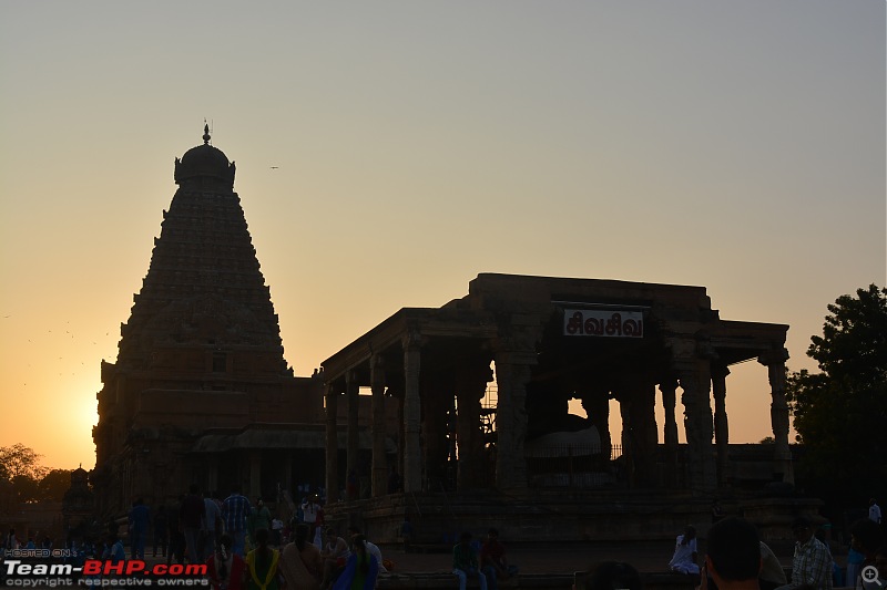 Chasing the Chola Architecture...-dsc_0599jpg.jpg