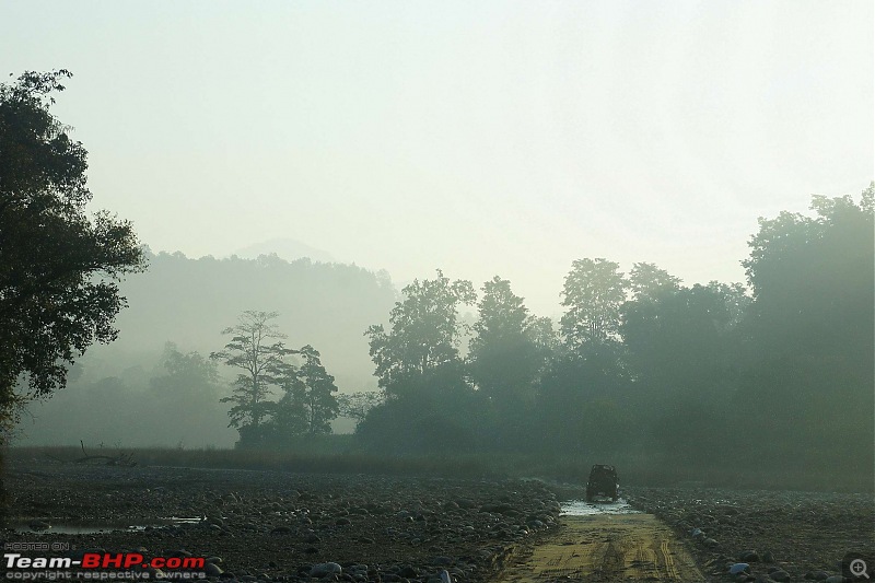 Hawk-On-Fours (H-4) Roadtrip: Rajaji National Park, Chilla | A short vacation & an angry elephant-chillanpmorning-4.jpg