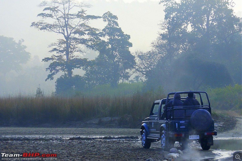 Hawk-On-Fours (H-4) Roadtrip: Rajaji National Park, Chilla | A short vacation & an angry elephant-chillanpmorning-5.jpg