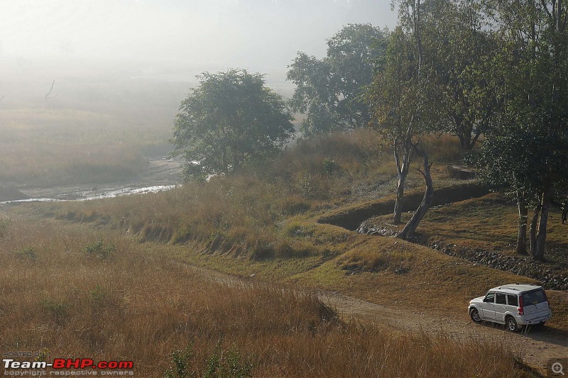 Hawk-On-Fours (H-4) Roadtrip: Rajaji National Park, Chilla | A short vacation & an angry elephant-chillanpmorning-8.jpg