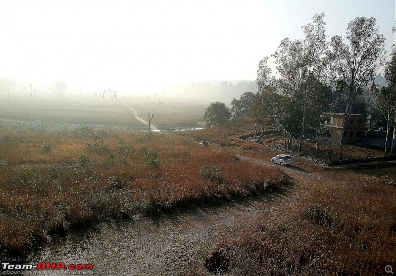 Hawk-On-Fours (H-4) Roadtrip: Rajaji National Park, Chilla | A short vacation & an angry elephant-chillanpmorning-13.jpg