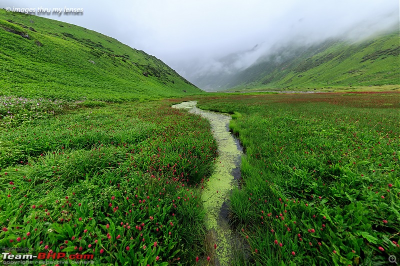 The Mandini Valley, Garhwal Mountains & Monsoons-mandini-trek-338-mandini-1.jpg