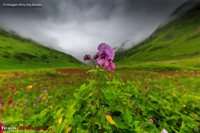 The Mandini Valley, Garhwal Mountains & Monsoons-mandini-trek-351-mandini-1.jpg