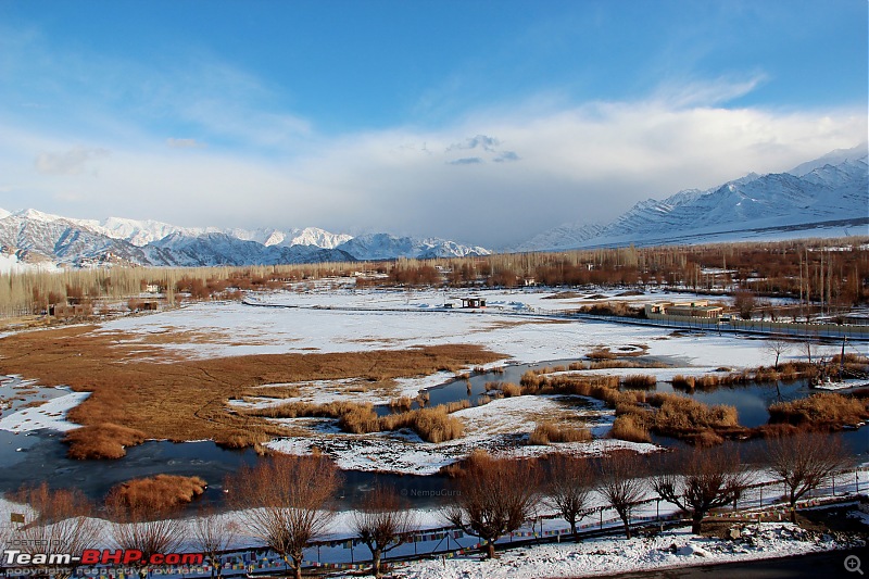 Five brother's winter trip to Leh - Ladakh-img_0277.jpg