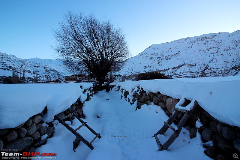 Five brother's winter trip to Leh - Ladakh-img_0751.jpg