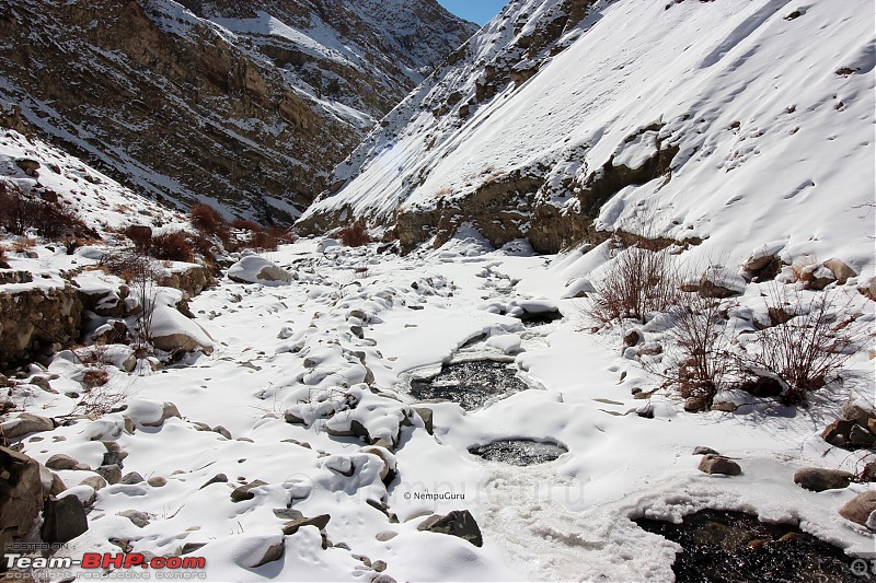 Five brother's winter trip to Leh - Ladakh-img_0933.jpg