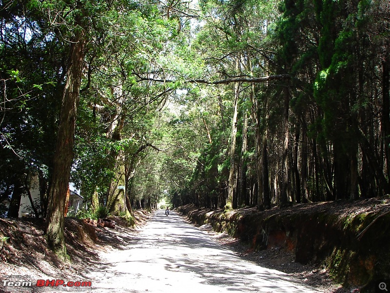 Bangalore - Ooty/Coonoor/Kotagiri in Swift D again!!!-dsc07770.jpg