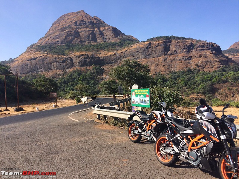 Trip to Malshej Ghat-imageuploadedbyteambhp1489423400.084921.jpg