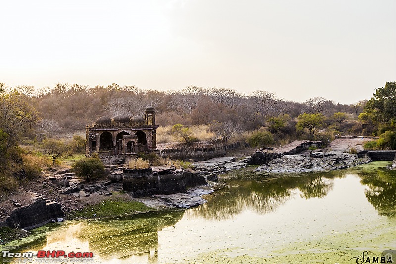 History, Sand, Hills & Forests - Our Rajasthan chapter from Kolkata in a Toyota Etios-img_3536.jpg