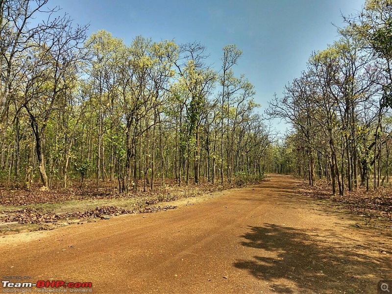 Where serenity prevails : A road-trip to Kuldiha Wildlife Sanctuary & Panchalingeshwar, Orissa-img_20170312_101853_hdr.jpg