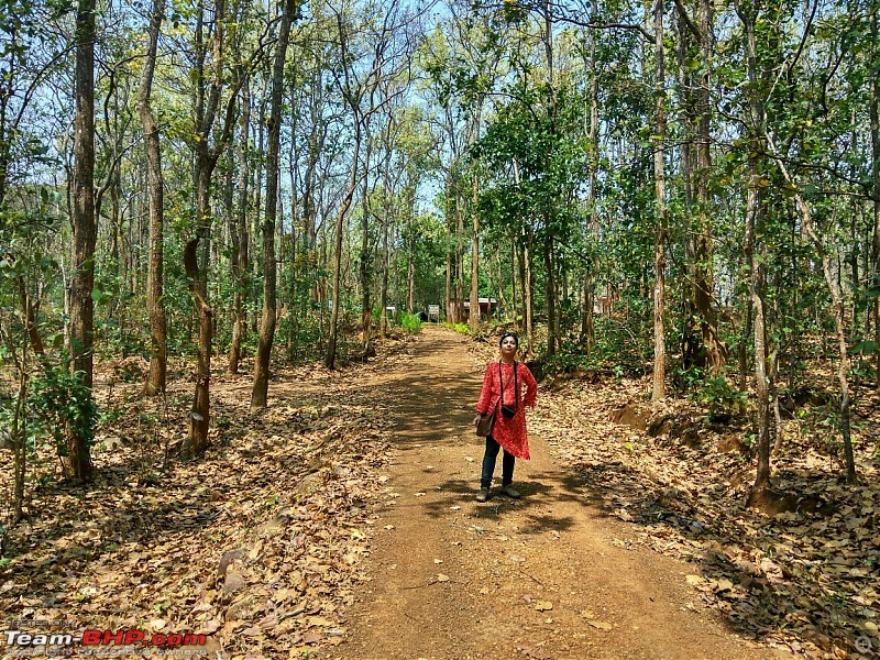 Where serenity prevails : A road-trip to Kuldiha Wildlife Sanctuary & Panchalingeshwar, Orissa-img_20170312_113116_hdr.jpg