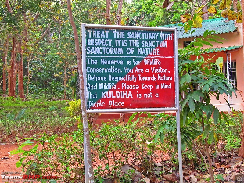 Where serenity prevails : A road-trip to Kuldiha Wildlife ...